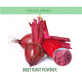 High quality Beet root juice powder